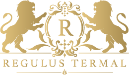 Regulus Termal Hotel